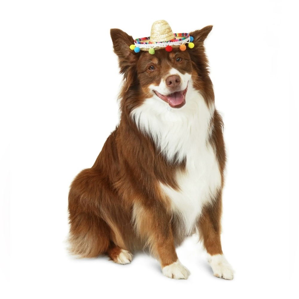 NWT - Sombrero Hat for Dogs & Cats